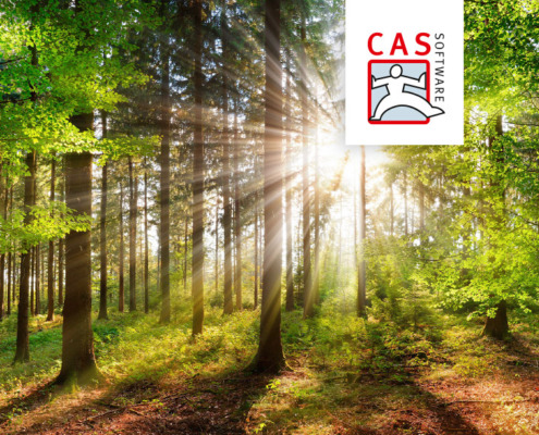Bild eines dicht bewachsenen Waldes und durch die Baumwipfel dringt strahlenförmig warmes Licht der Sonne. Rechts oben in der Ecke das Logo der CAS Software auf einer weißen Fläche.