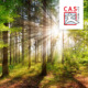 Bild eines dicht bewachsenen Waldes und durch die Baumwipfel dringt strahlenförmig warmes Licht der Sonne. Rechts oben in der Ecke das Logo der CAS Software auf einer weißen Fläche.